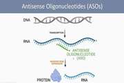  پروتئین‌های کلیدی در تنظیم فعالیت داروهای AntiSense Oligonucleotides (ASOs) شناسایی شدند